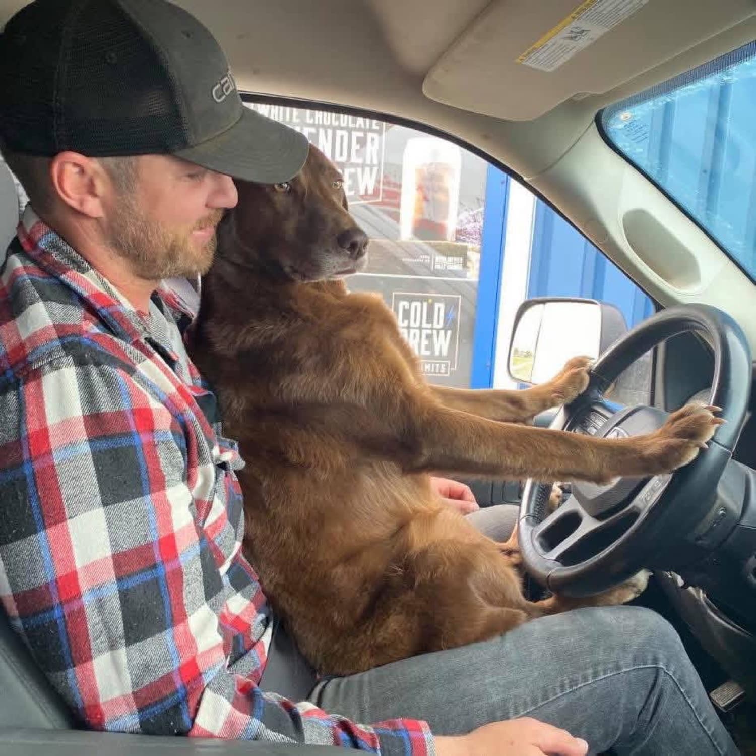 George in his truck with Shyla at the wheel