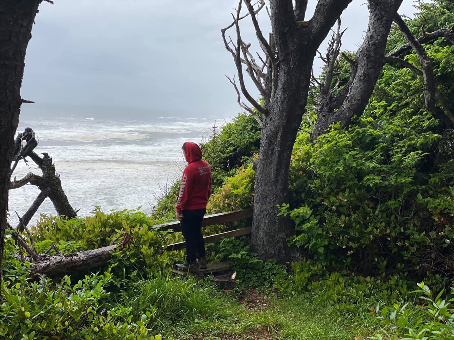 George's brother looking out at the ocean